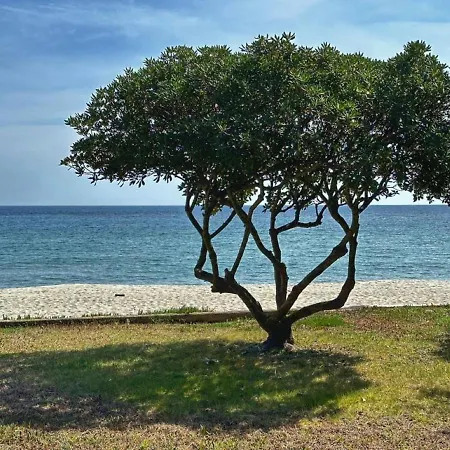 Πανσιόν Maison 