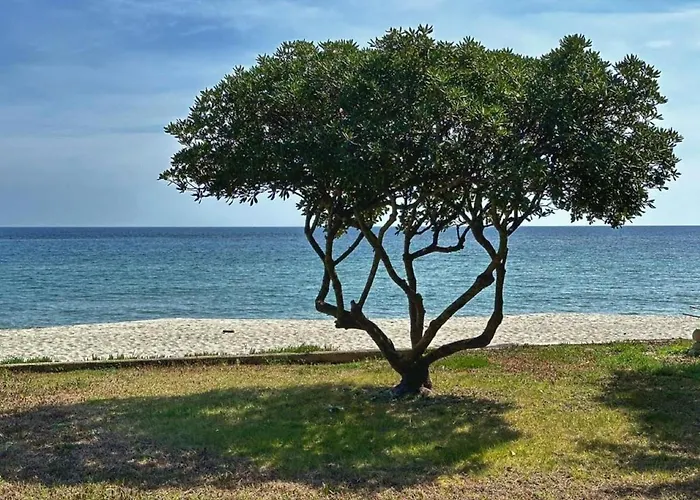 Гостевой дом Maison 